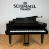 SCHIMMEL C 169